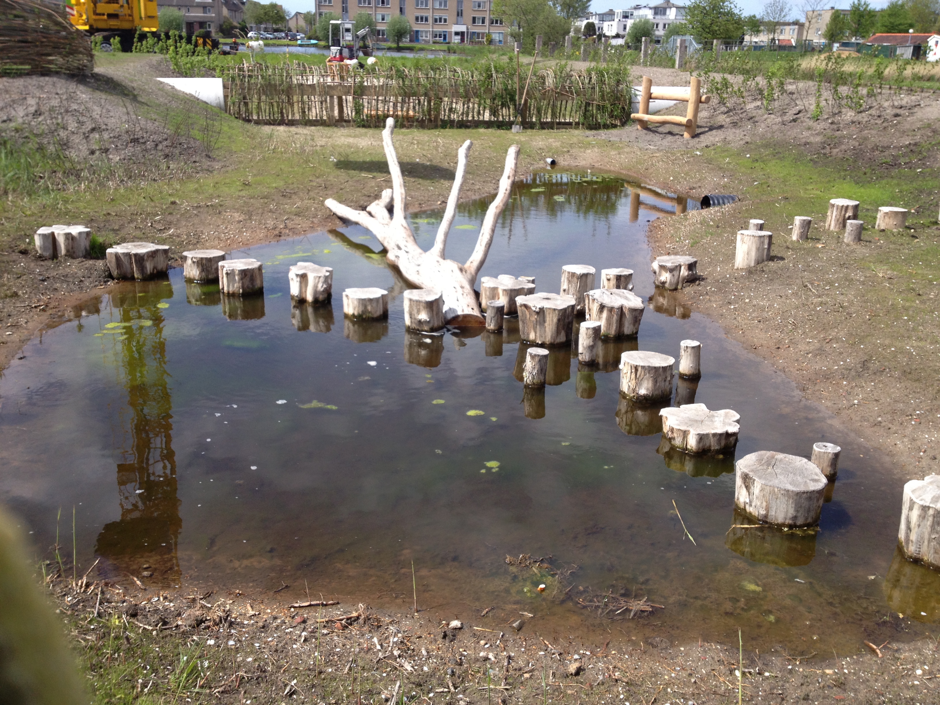 Aanleg Natuurlijk 59 Huisman Hoveniers Zaandam