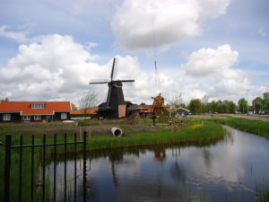 Overzicht tuin
