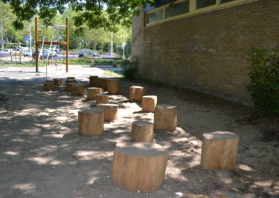 Stapstammen Robinia